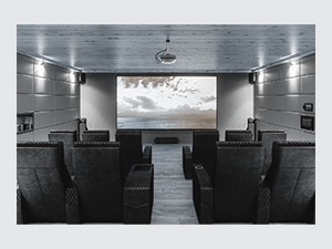 MovieTheater-Private.jpg